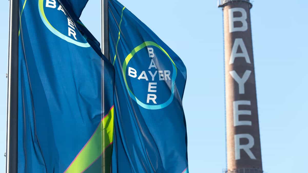 Bayer-Aktie Steigt, DAX Fällt: Das Steckt Dahinter › Sharedeals.de