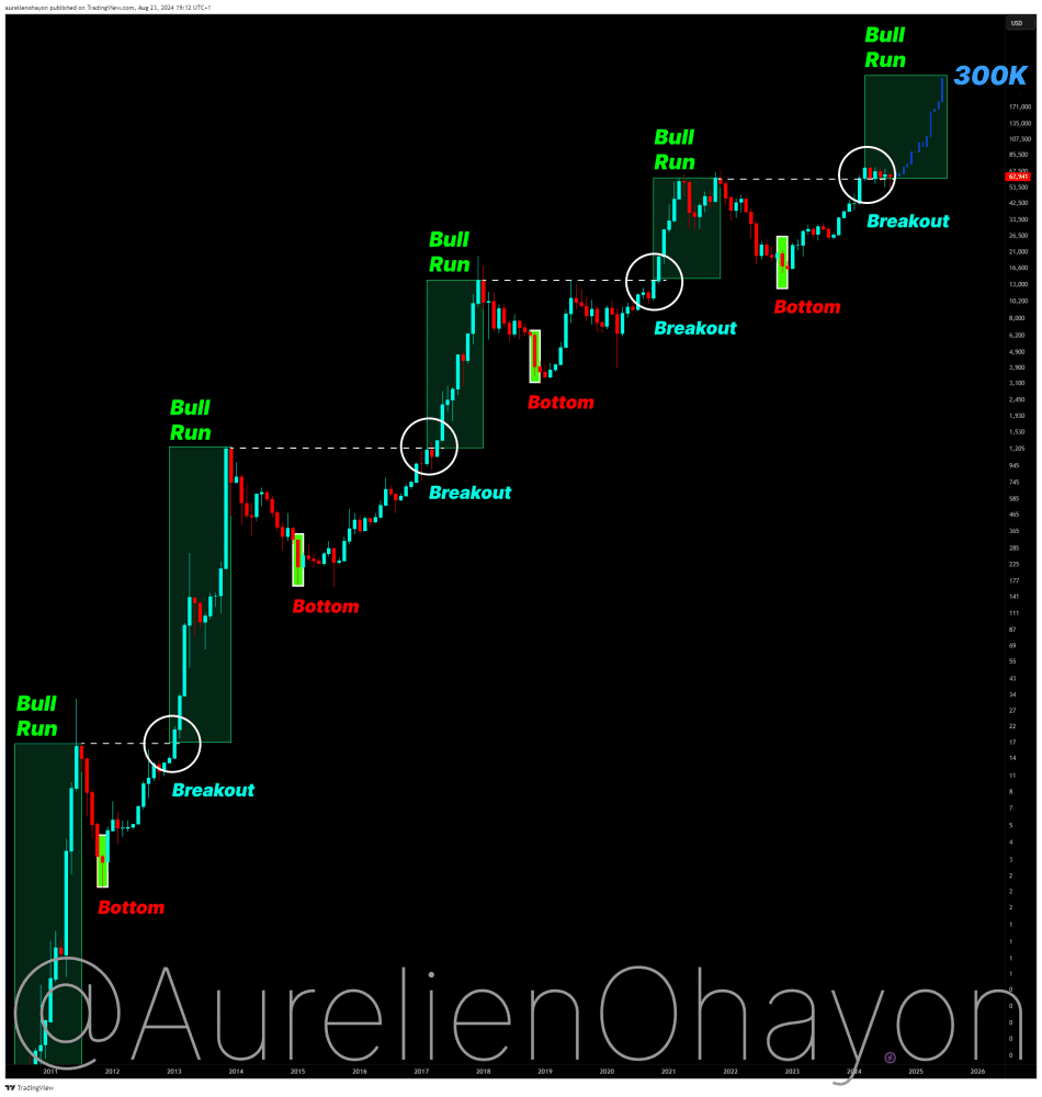 Bitcoin next bullrun?