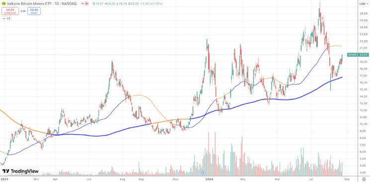 Krypto-Mining Aktien Index ETF $WGMI